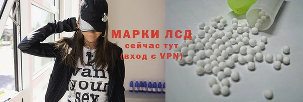 твердый Аркадак