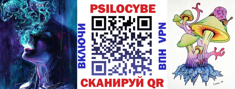 где продают   Удачный  Псилоцибиновые грибы Psilocybine cubensis 